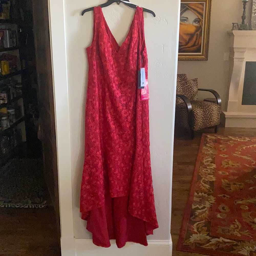 Dress- Karl Lagerfeld